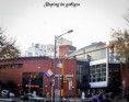 /album/fotogaleria/paseo-por-tienda-los-gallegos-rivadavia-3050-jpg1/
